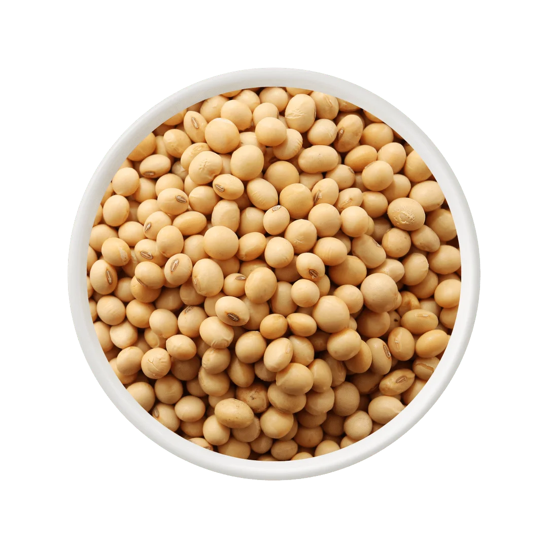 Soyabean